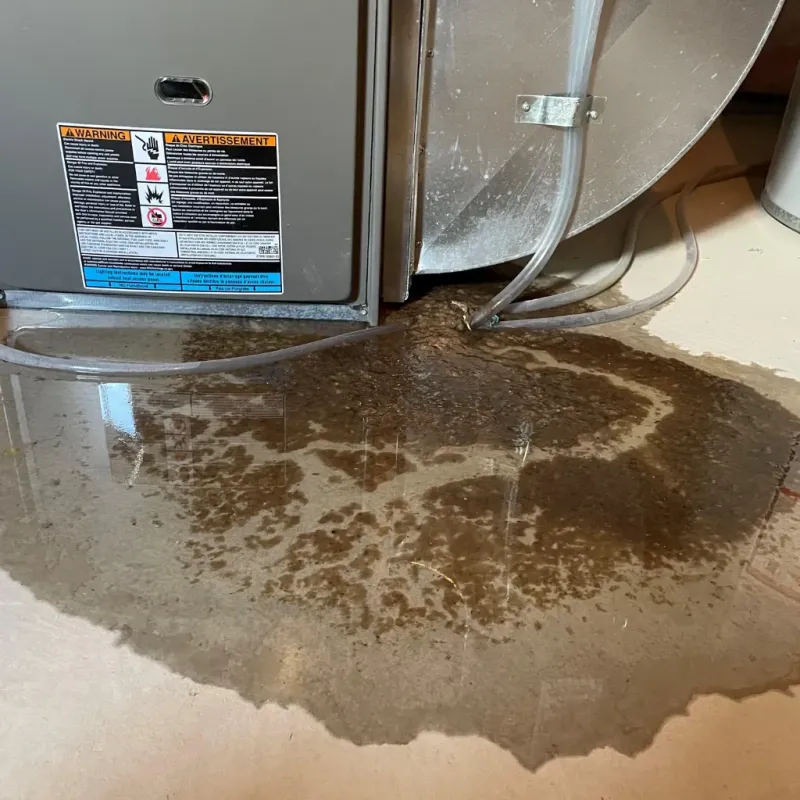 Appliance Leak Cleanup in Ballinger, TX